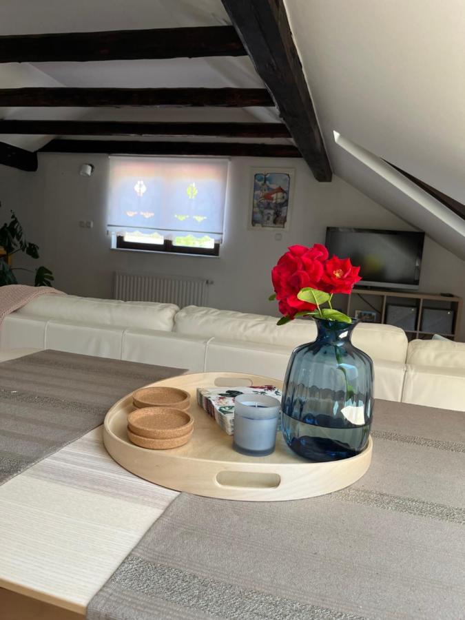 Riverside Villa Avo - Apartment Sara Spodnja Idrija エクステリア 写真