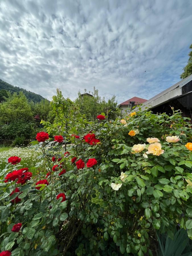 Riverside Villa Avo - Apartment Sara Spodnja Idrija エクステリア 写真